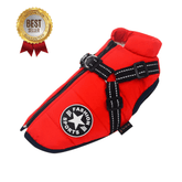 Doggyâ„?- Waterproof Winter Dog Jacket With Built-In Harness